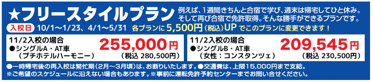 フリースタイルプラン