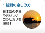 新潟の楽しみ方