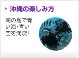 沖縄の楽しみ方