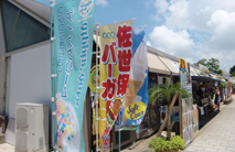 合宿免許に行こうか悩んでいる人にアドバイス